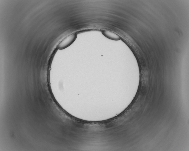 X0000112760896200910011213