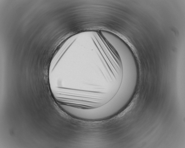 X0000112760897200910011213