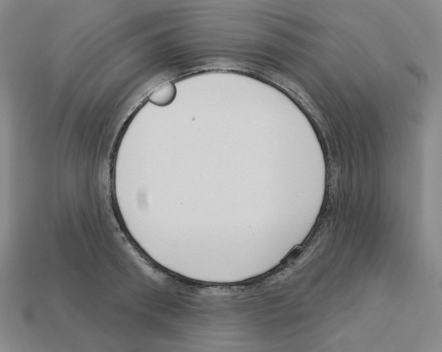 X0000112760898200910011213