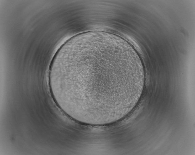 X0000112760899200910011213