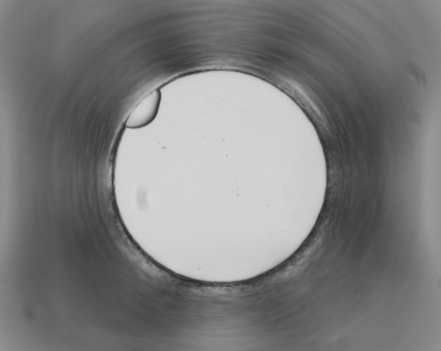 X0000112760900200910011213