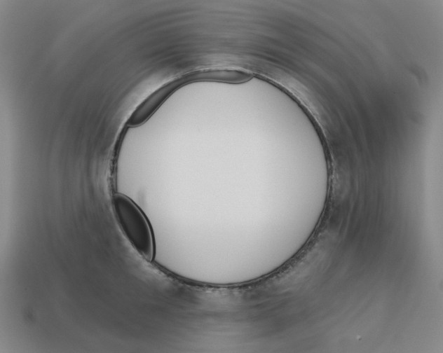 X0000112760901200910011213