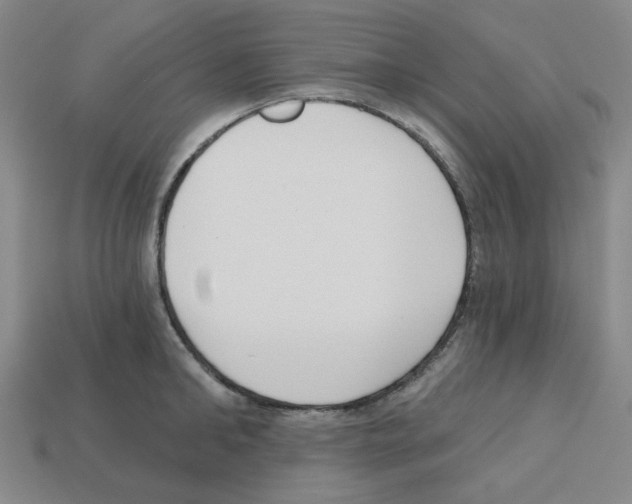 X0000112760902200910011213
