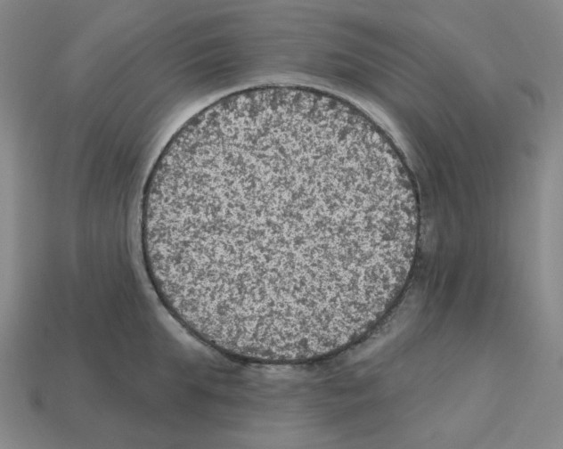 X0000112760903200910011213