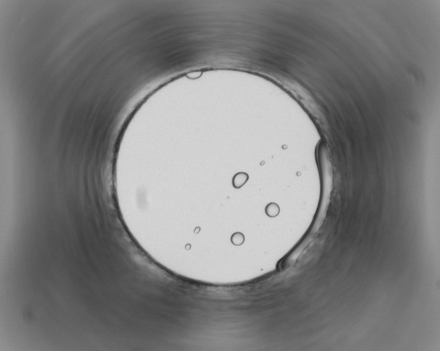X0000112760904200910011213