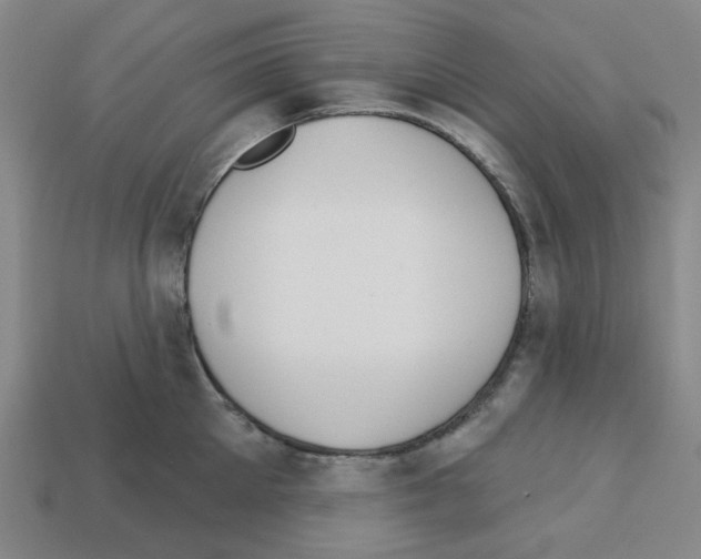 X0000112760905200910011213