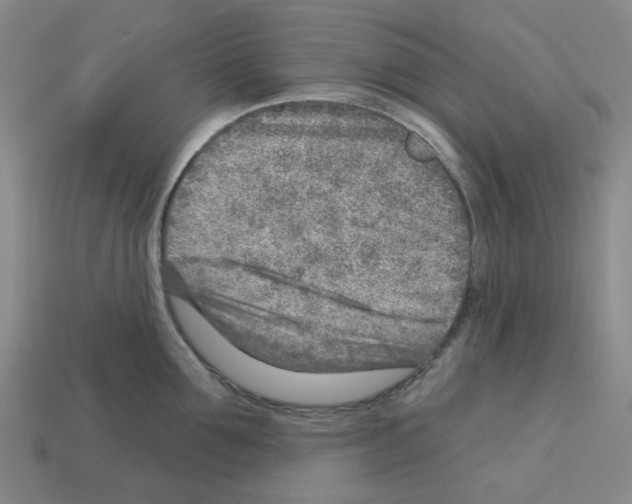 X0000112760907200910011213