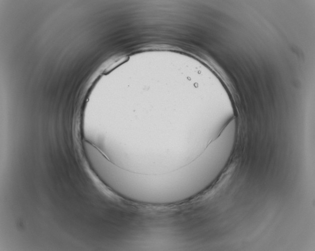 X0000112760909200910011213