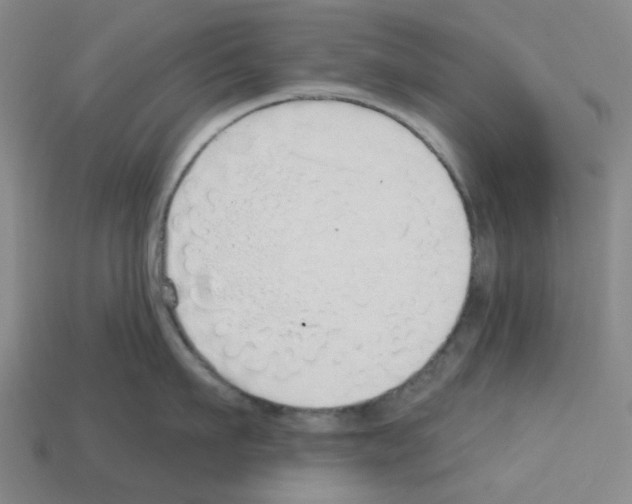 X0000112760911200910011213