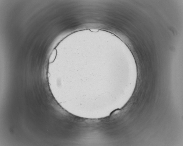 X0000112760912200910011213