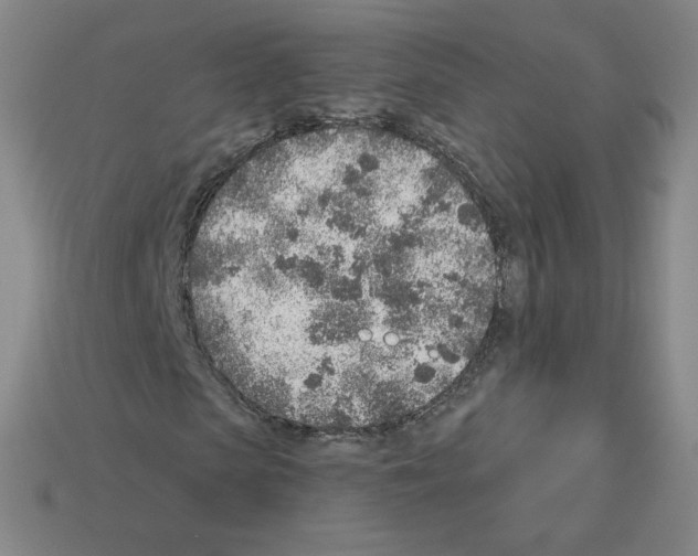 X0000112760913200910011212