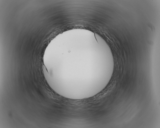 X0000112760916200910011212