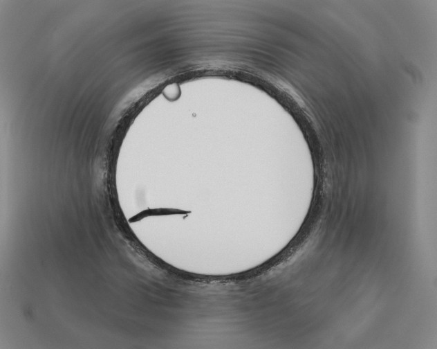 X0000112760922200910011212