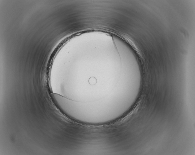 X0000112760924200910011212