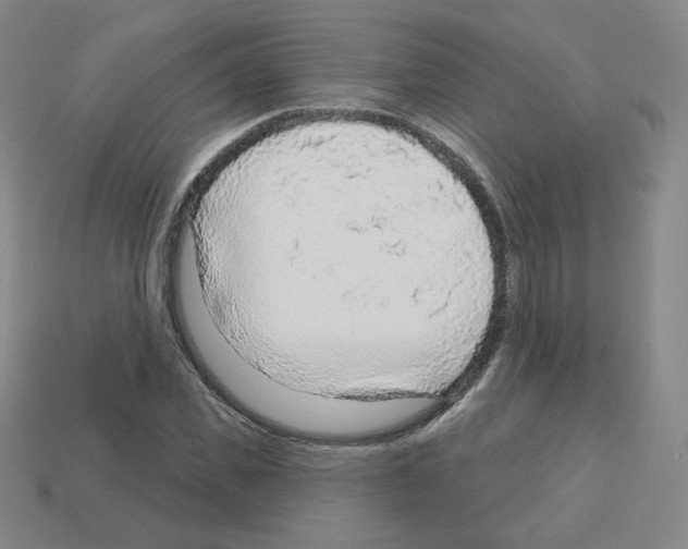 X0000112760925200910011212