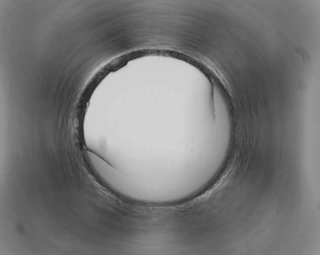 X0000112760926200910011212