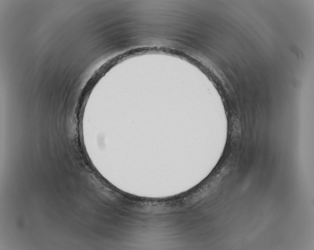 X0000112760927200910011212