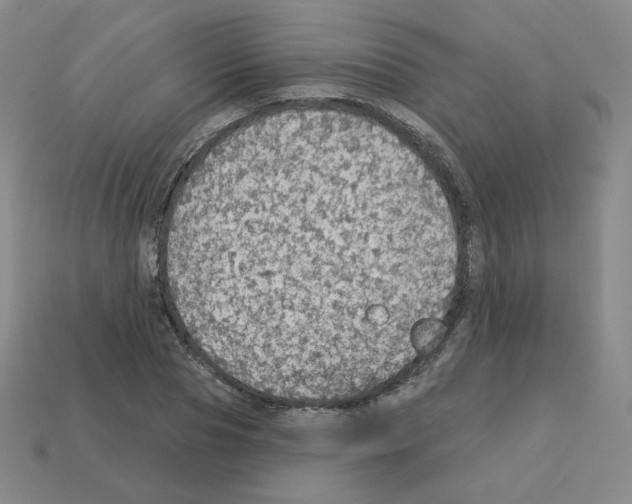 X0000112760929200910011212