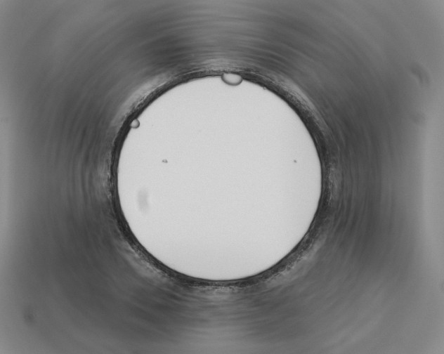 X0000112760930200910011212