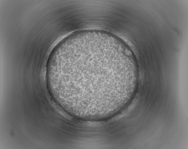 X0000112760933200910011212