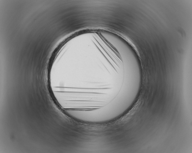X0000112760935200910011212