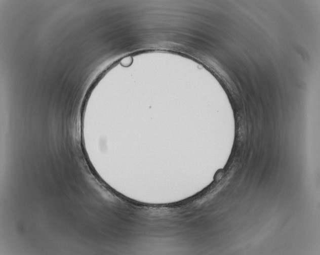 X0000112760940200910011212