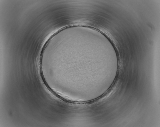 X0000112760941200910011213