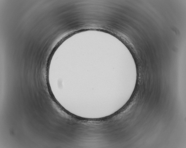 X0000112760942200910011213