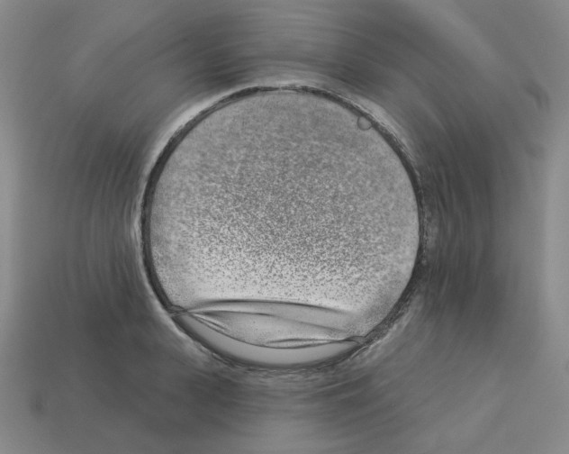 X0000112760943200910011213