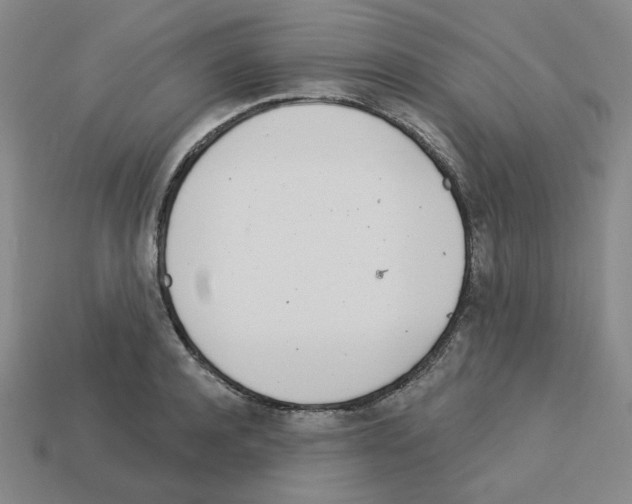 X0000112760944200910011213