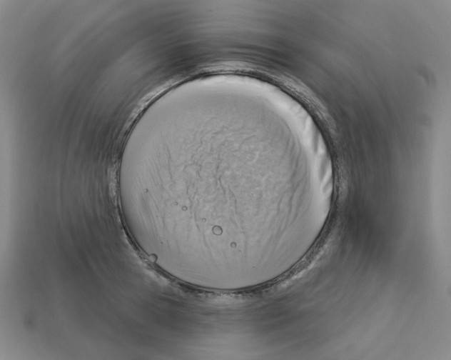 X0000112760945200910011213