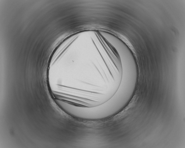 X0000112760946200910011213