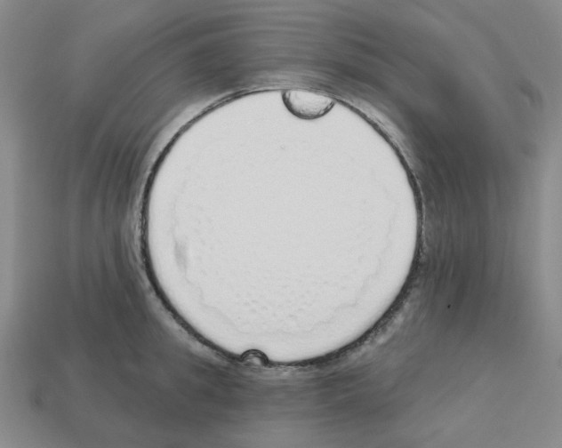 X0000112760949200910011213