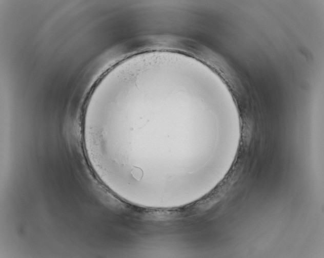 X0000112760950200910011213