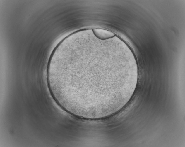 X0000112760951200910011213