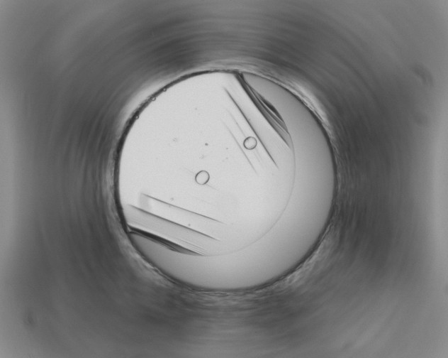 X0000112760952200910011213