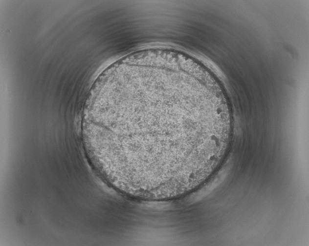 X0000112760953200910011213