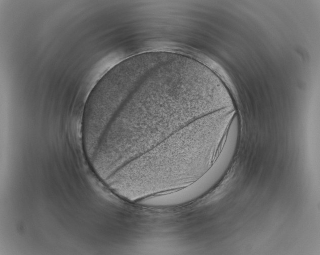 X0000112760954200910011213