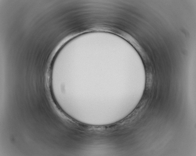 X0000112760955200910011213