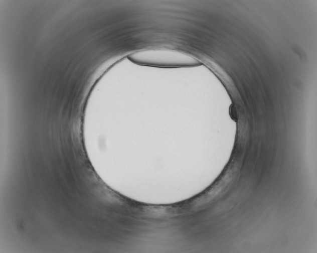 X0000112760956200910011213