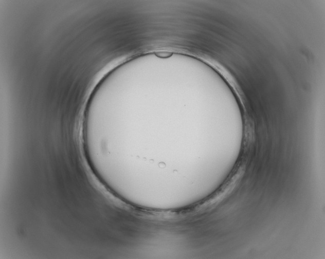 X0000112760957200910011213