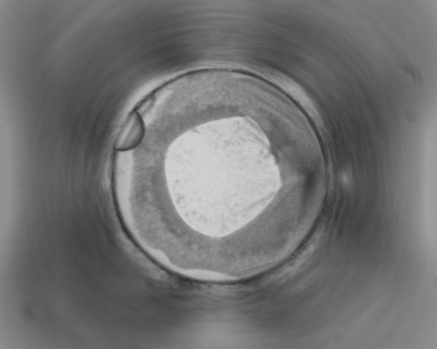 X0000112760958200910011213