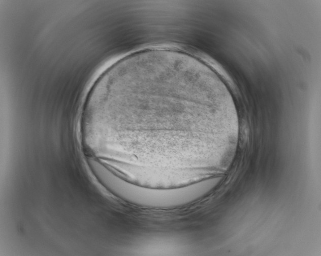 X0000112760959200910011213