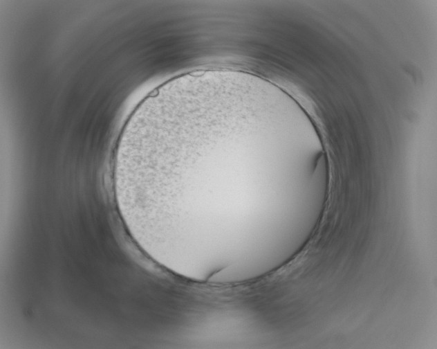 X0000112760960200910011213