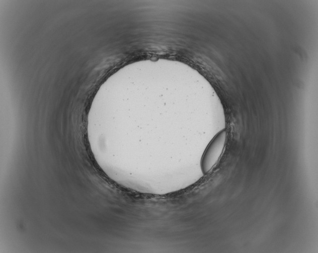 X0000112760961200910011212