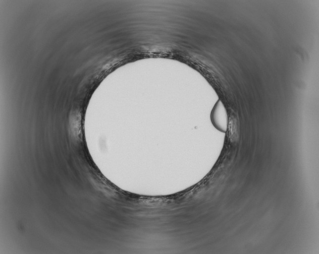 X0000112760963200910011212