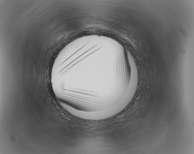 X0000112760965200910011212