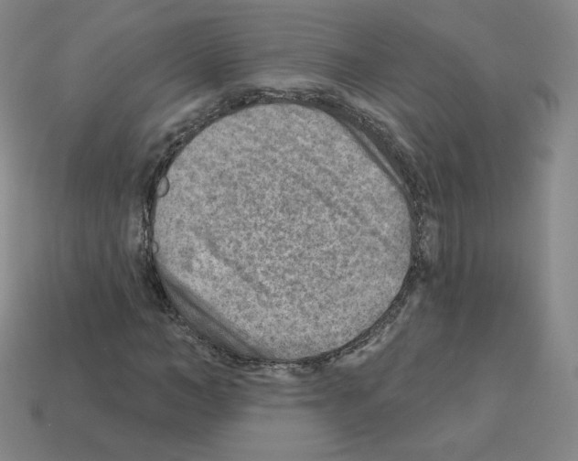 X0000112760966200910011212