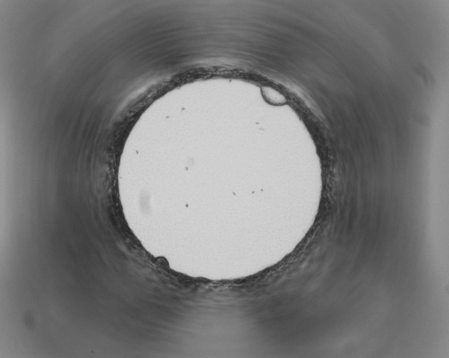 X0000112760967200910011212