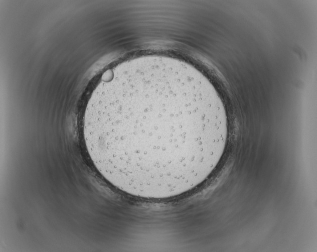 X0000112760970200910011212
